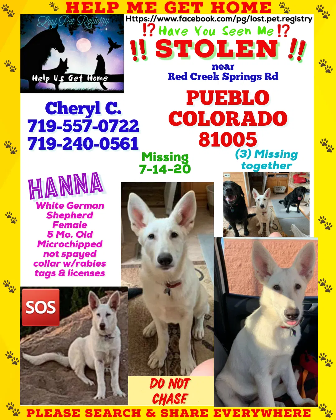 Lost dog in Pueblo, CO, 81005