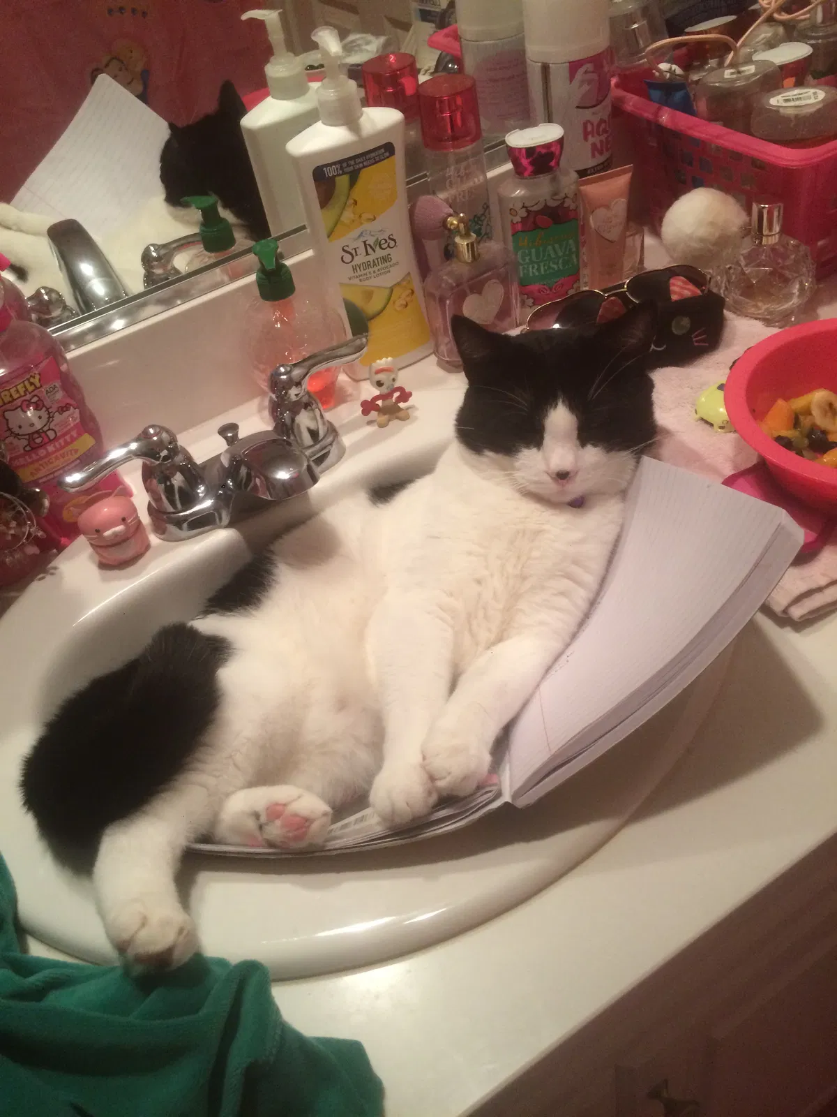 Lost cat in Hemet, CA, 92545