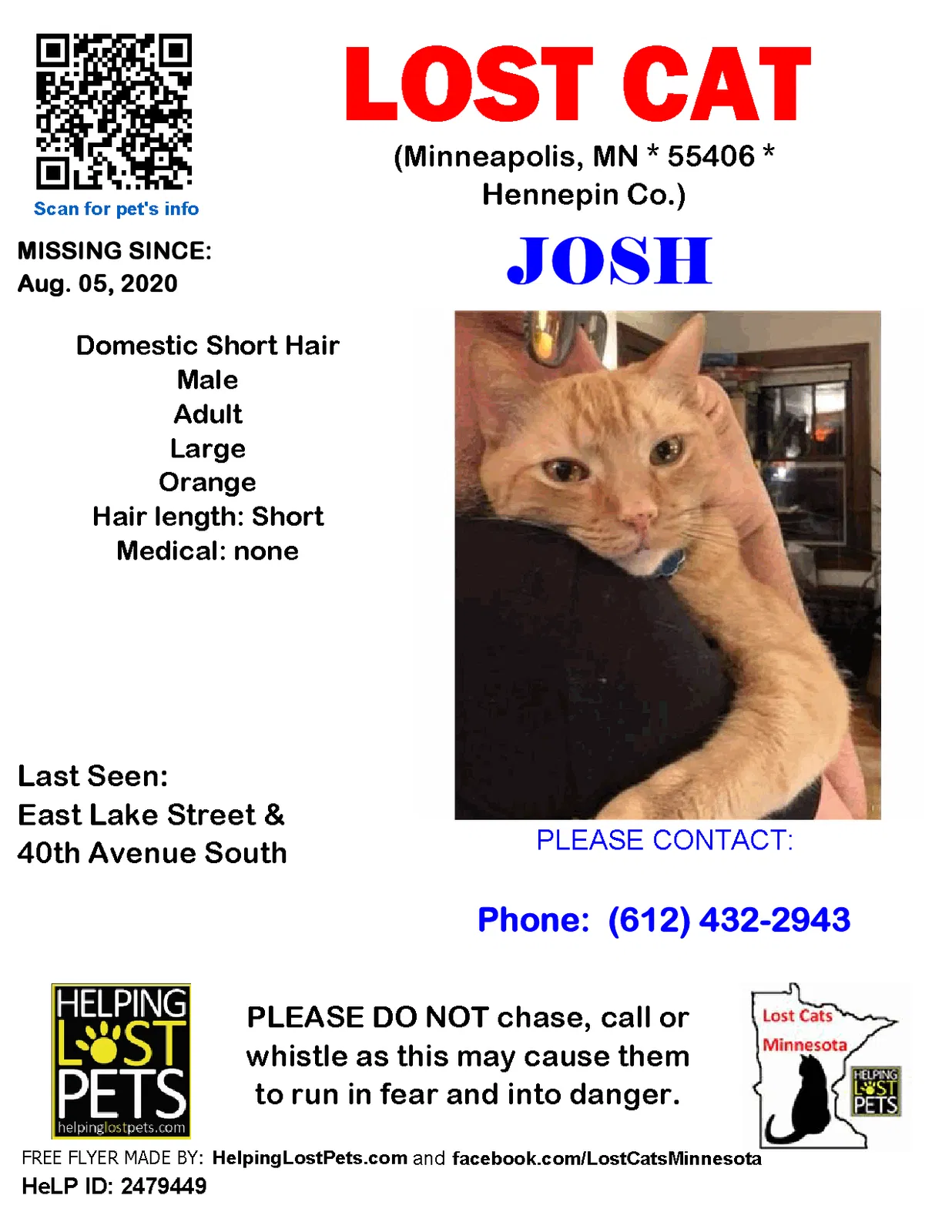 Lost cat in Minneapolis, MN, 55406
