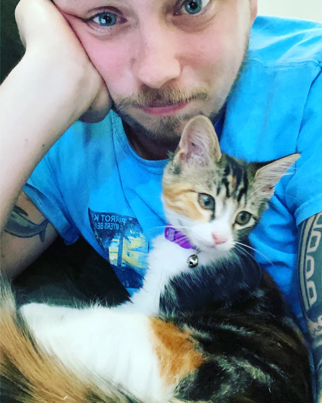 Lost cat in Cape Coral, FL, 33909