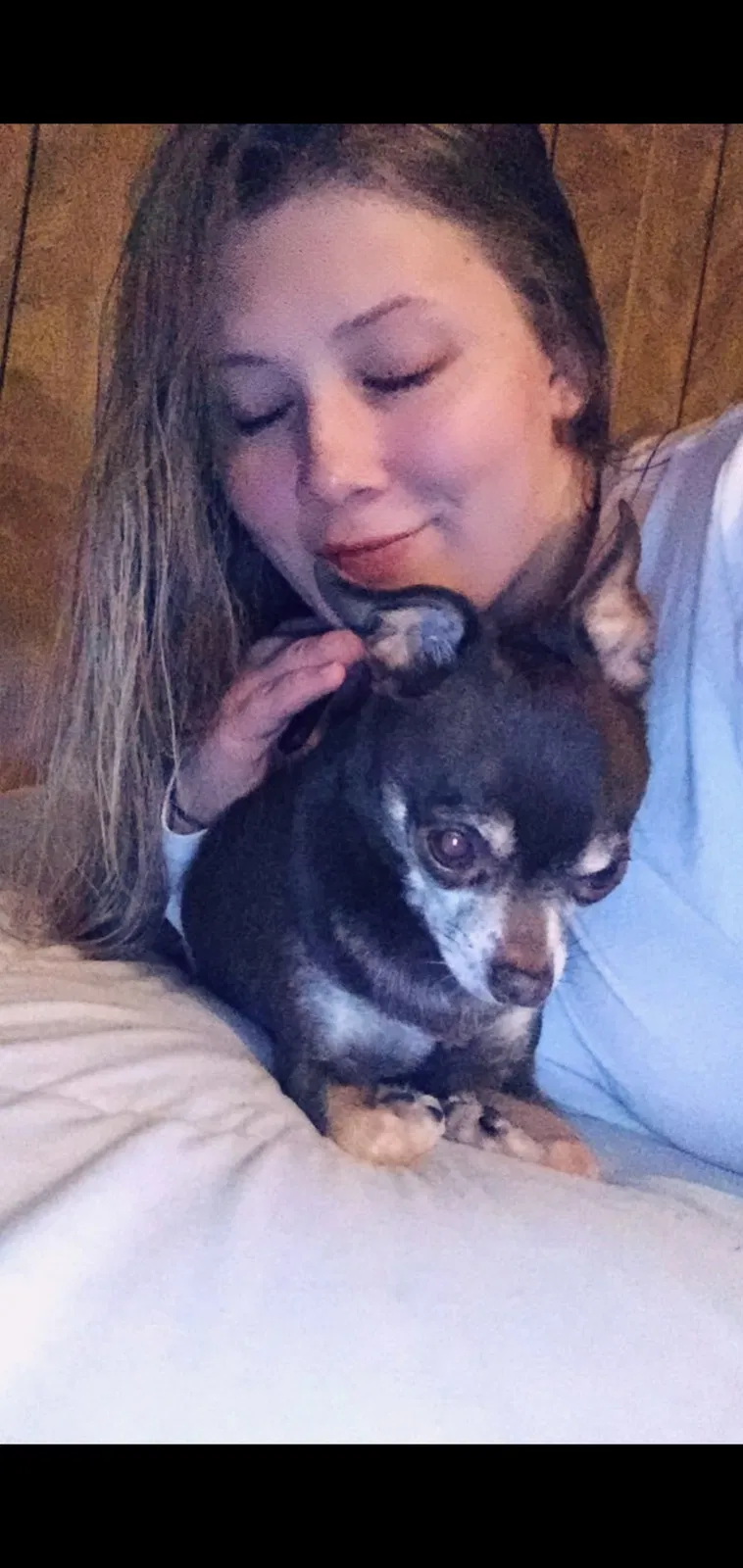 Lost dog in Port Orchard, WA, 98367