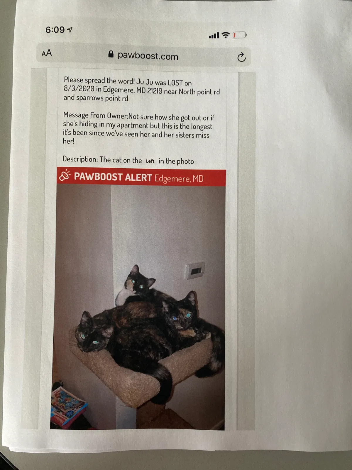 Lost cat in Sparrows Point, MD, 21219