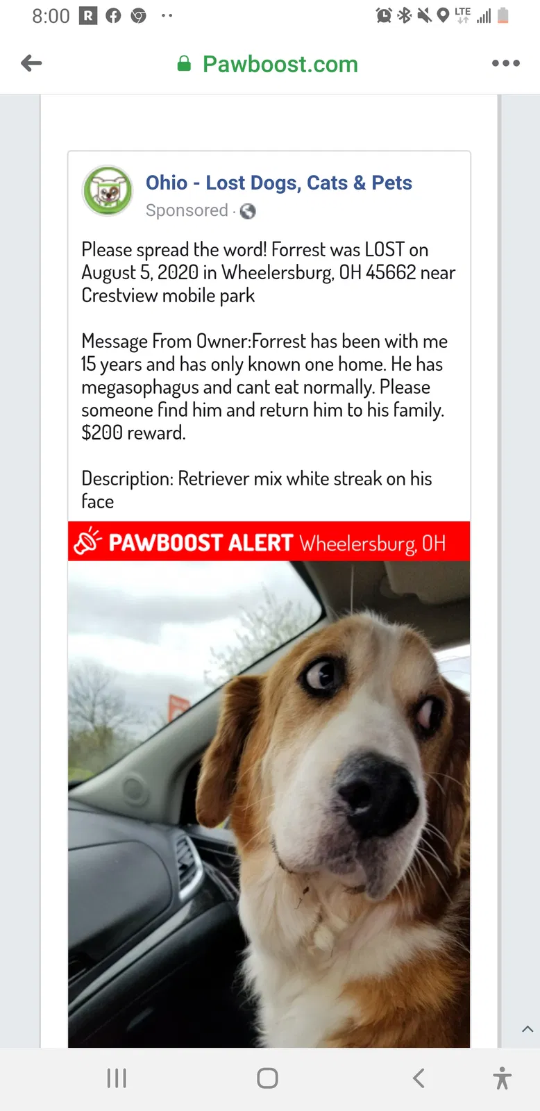 Lost dog in Wheelersburg, OH, 45694