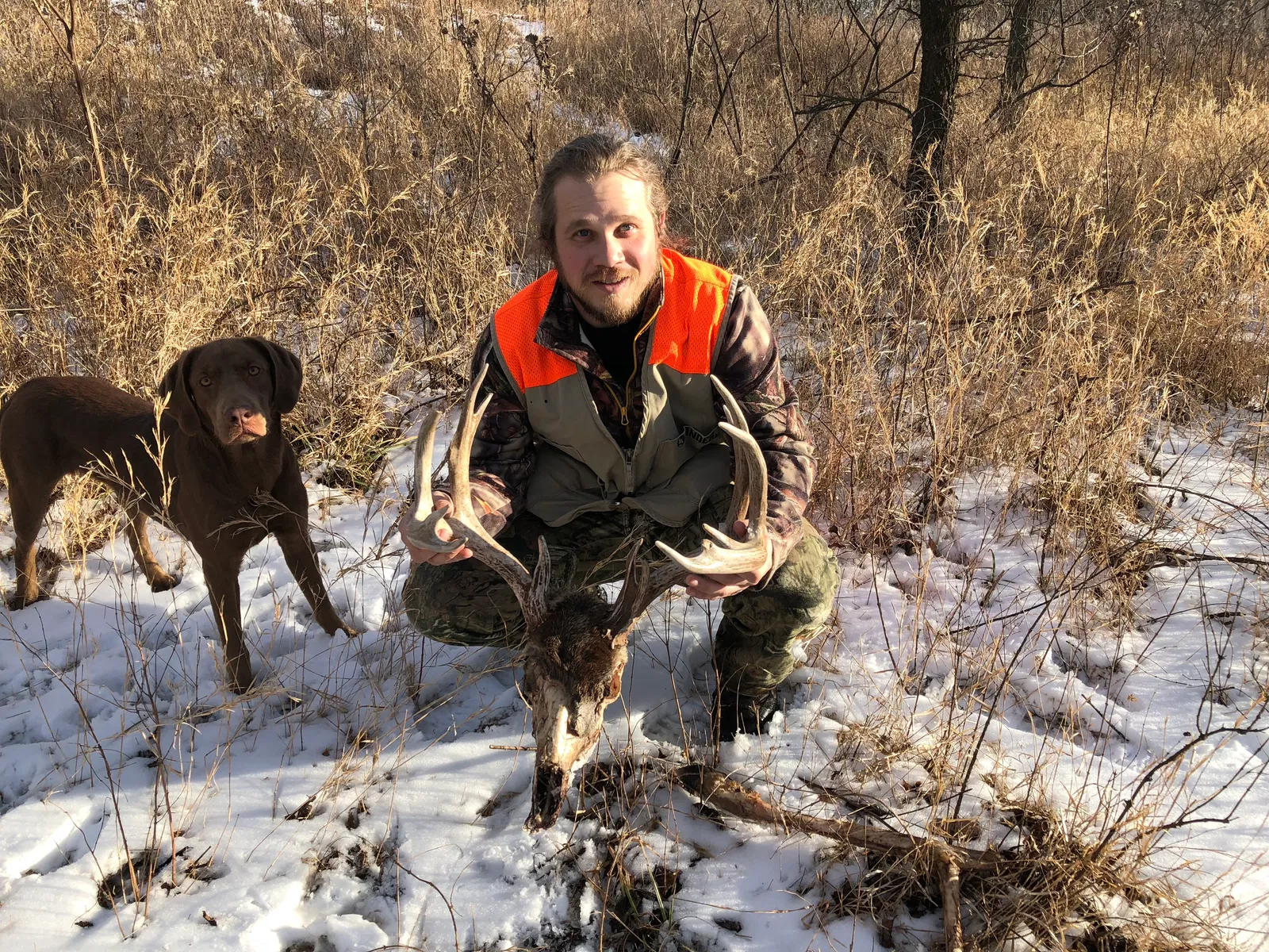 Lost dog in Wichita, KS, 67217