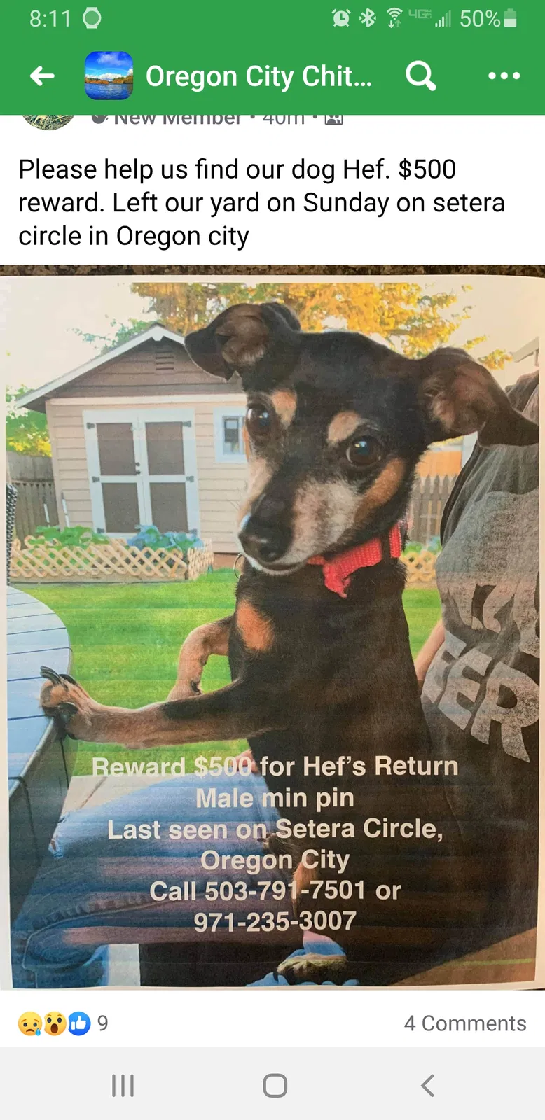 Lost dog in Oregon City, OR, 97045