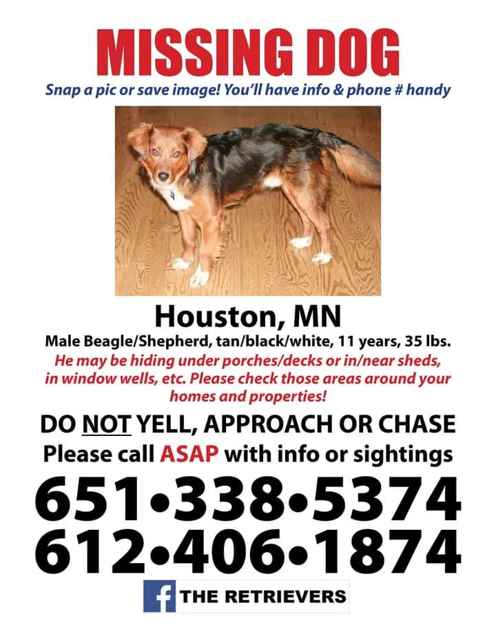 Lost dog in Houston, MN, 55943