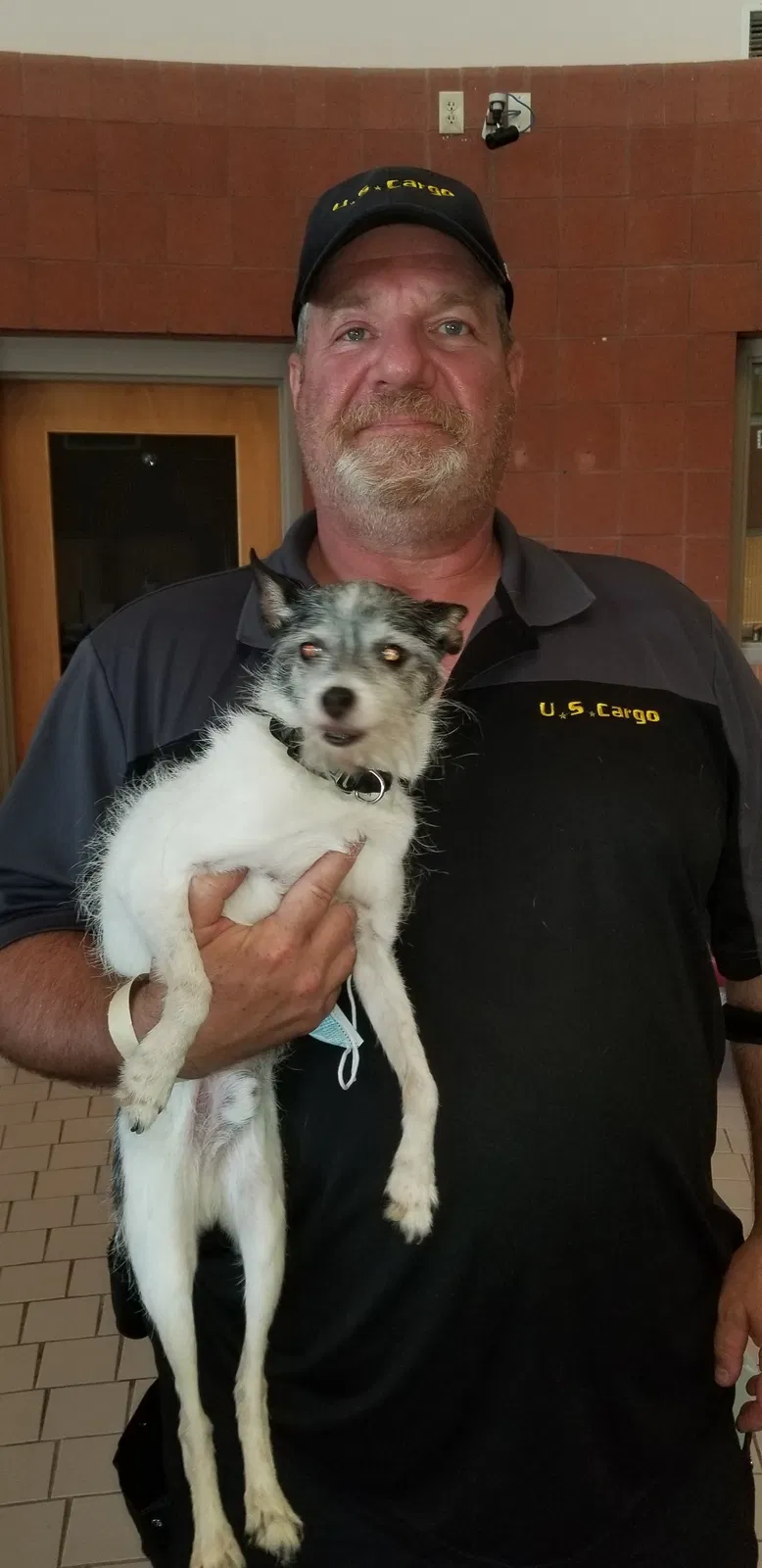 Found dog in Maple Heights, OH, 44137