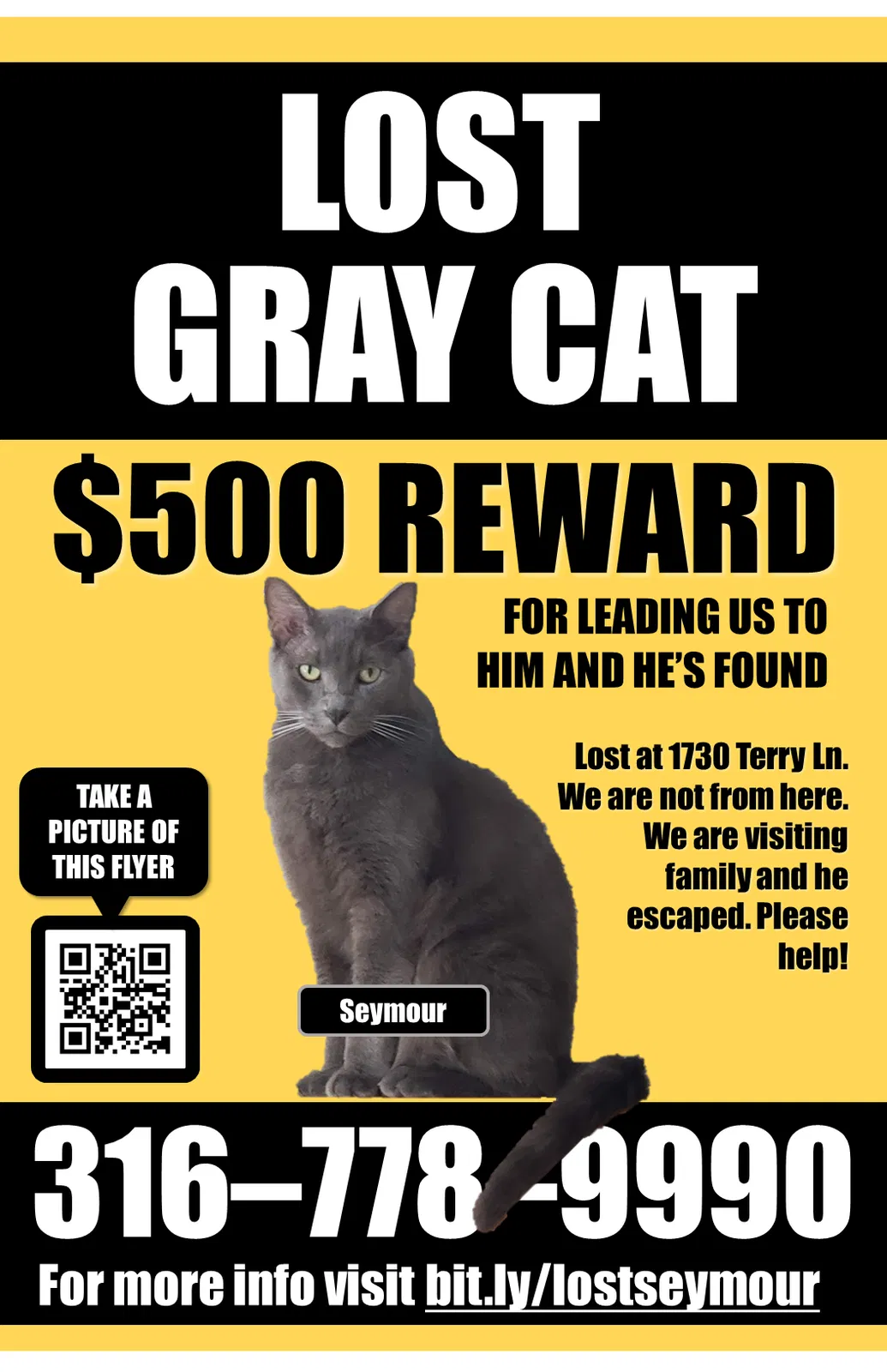 Lost cat in Andover, KS, 67002