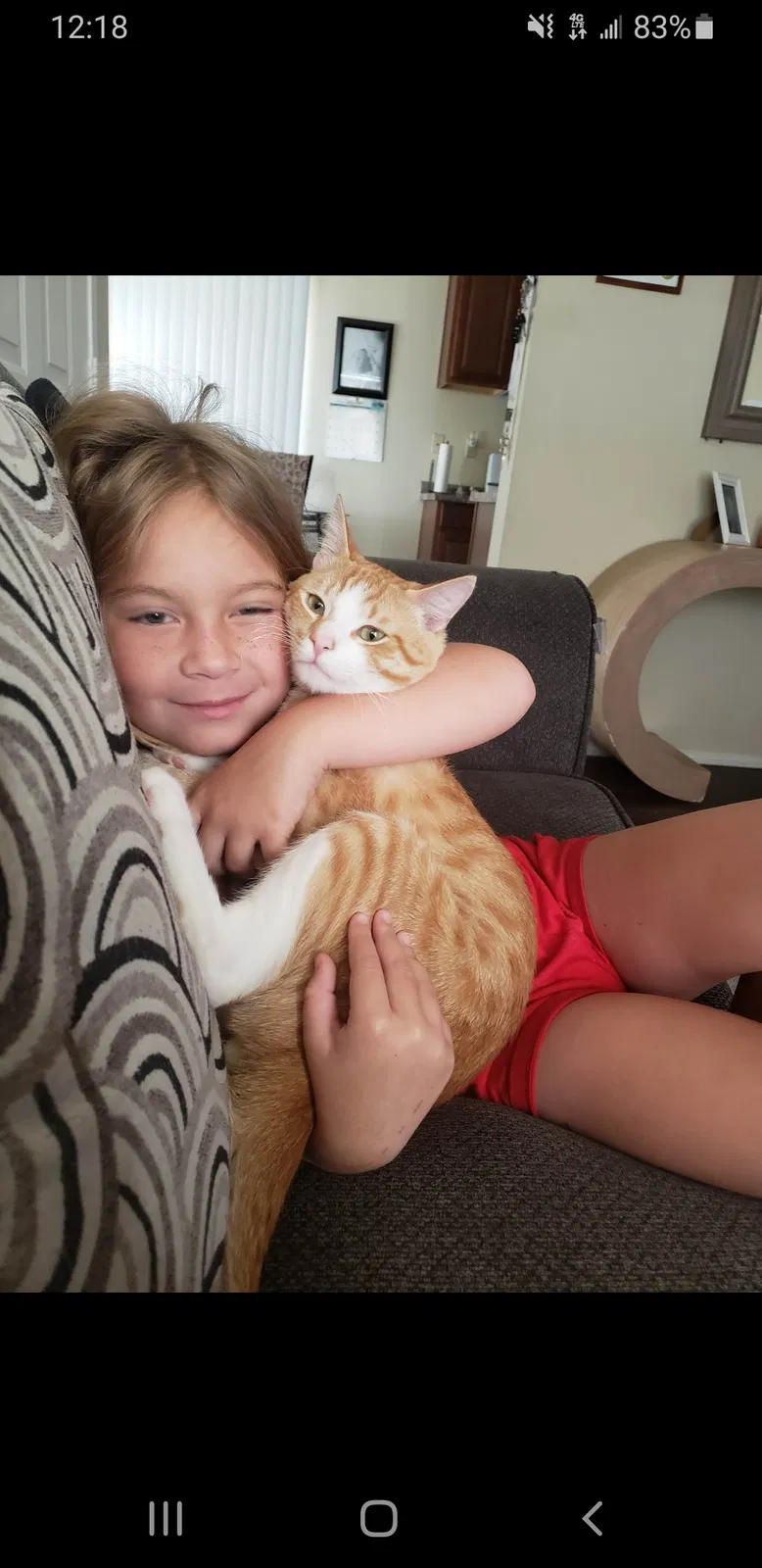 Lost cat in Vista, CA, 92083