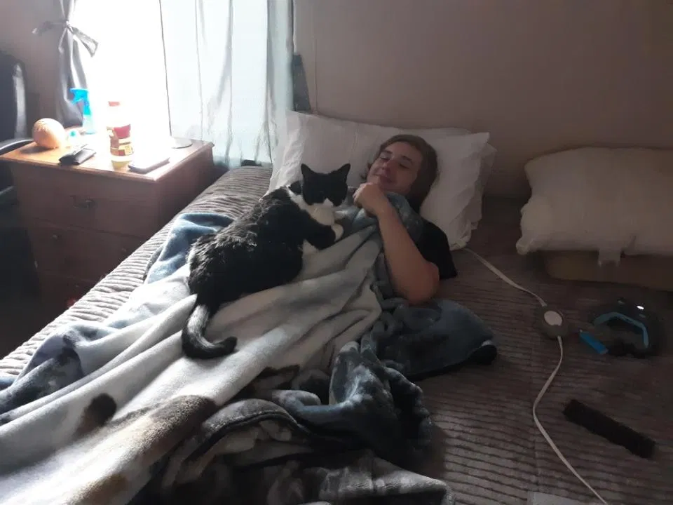 Lost cat in Unknown, CO, 0