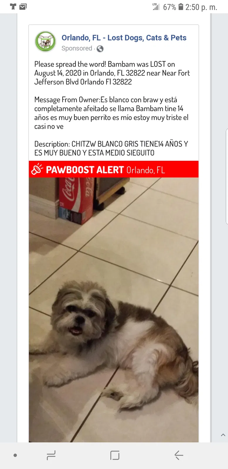 Lost dog in Orlando, FL, 32822