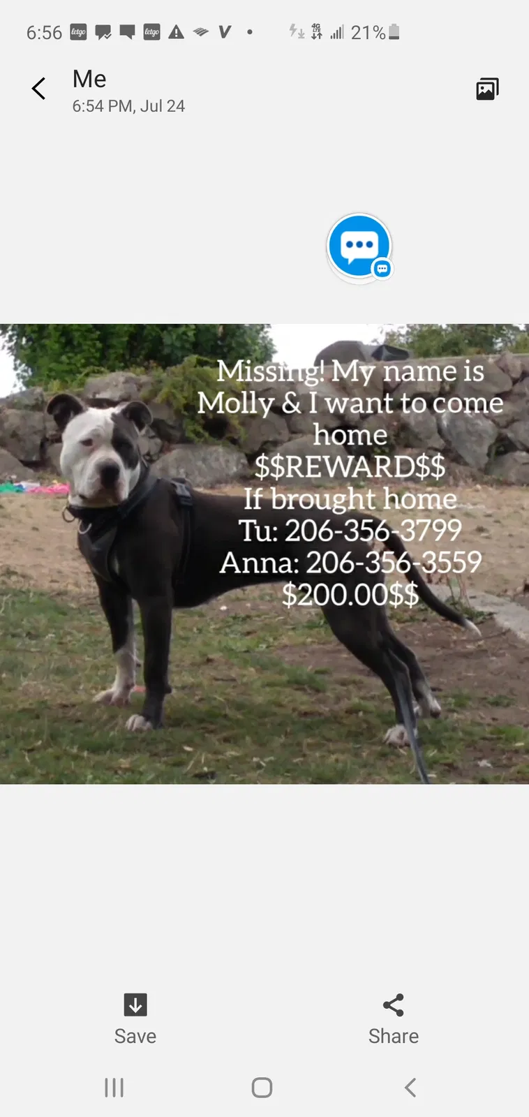 Lost dog in Seattle, WA, 98118