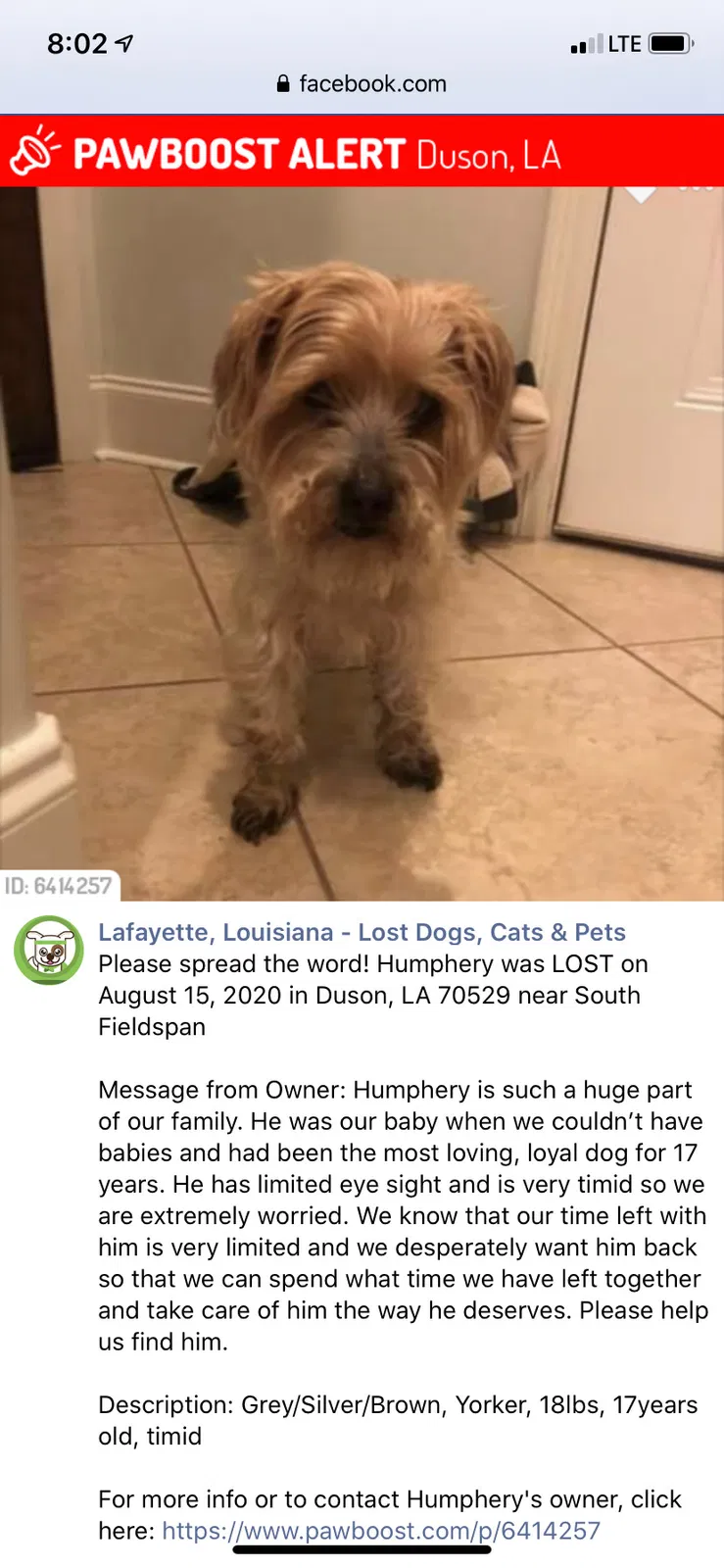 Lost dog in Duson, LA, 70529