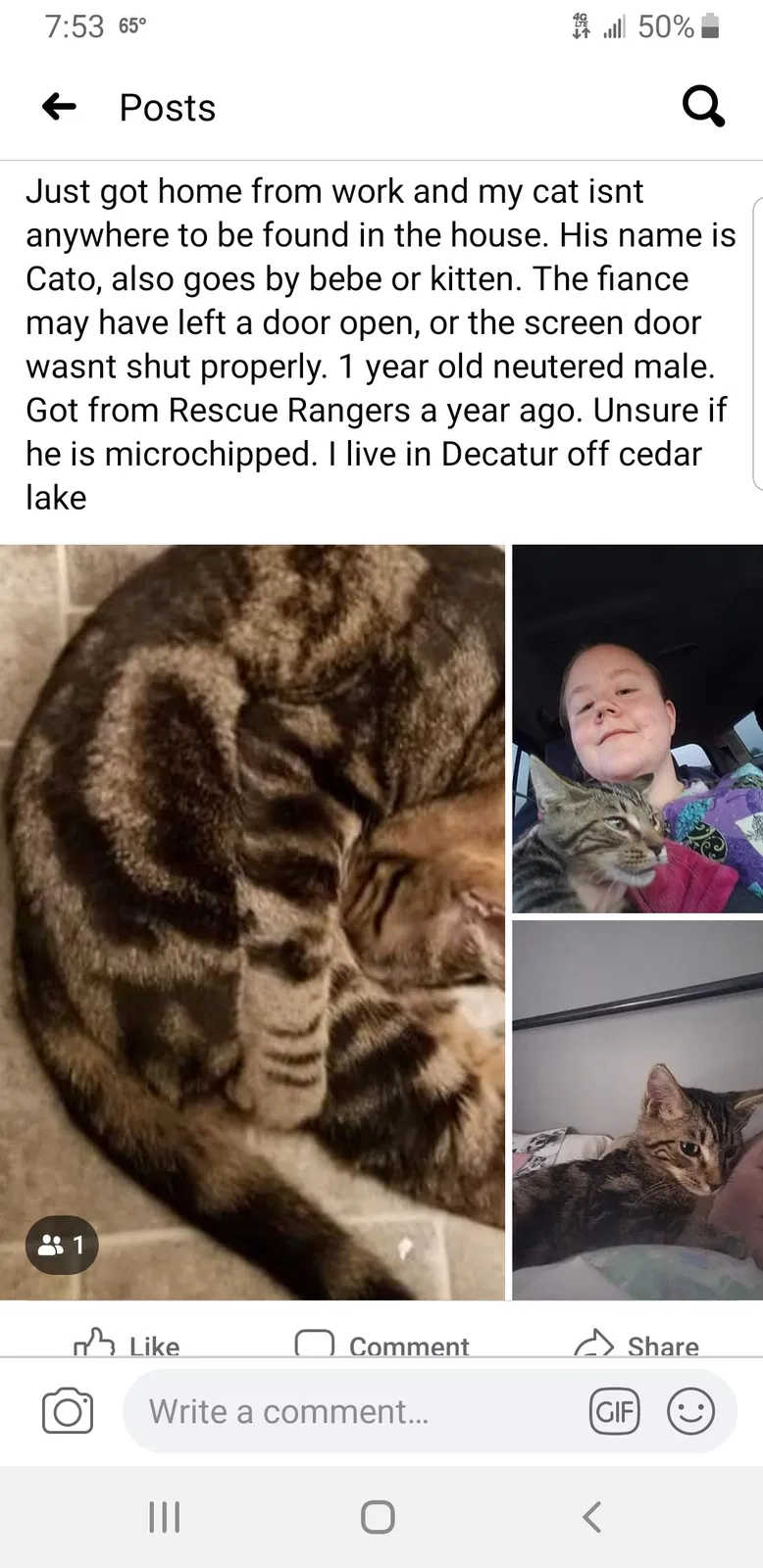 Lost cat in Decatur, AL, 35603
