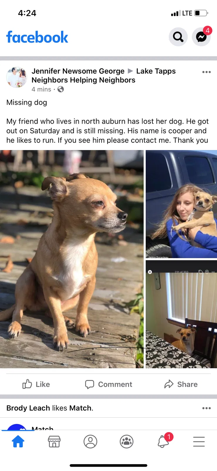 Lost dog in Auburn, WA, 98002
