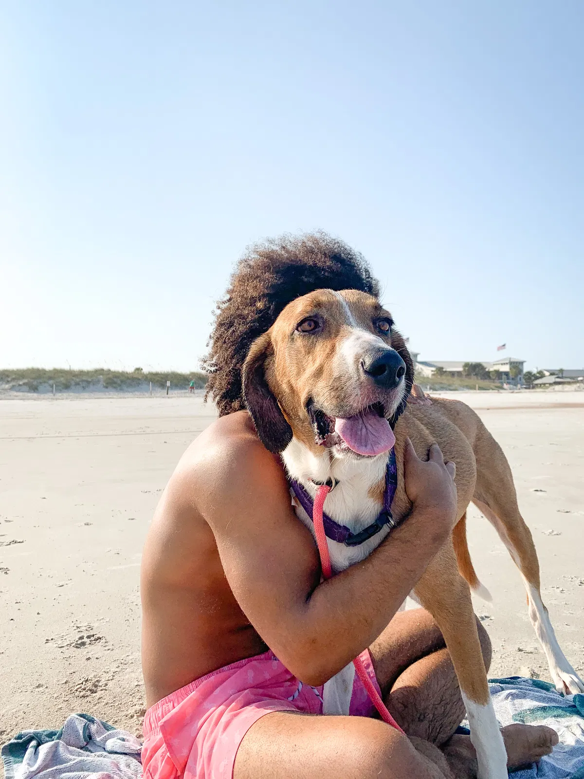 Lost dog in Macon, GA, 31217
