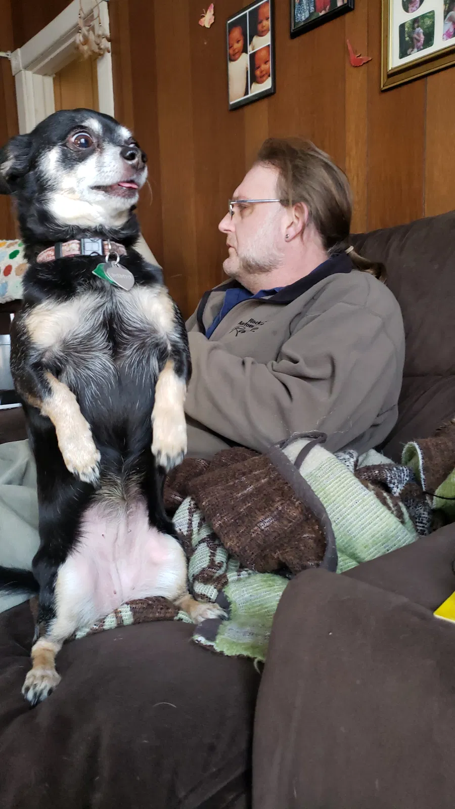 Lost dog in Pottersdale, PA, 16871