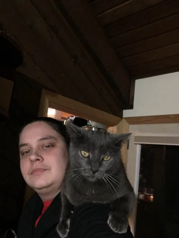 Lost cat in Marietta, GA, 30062