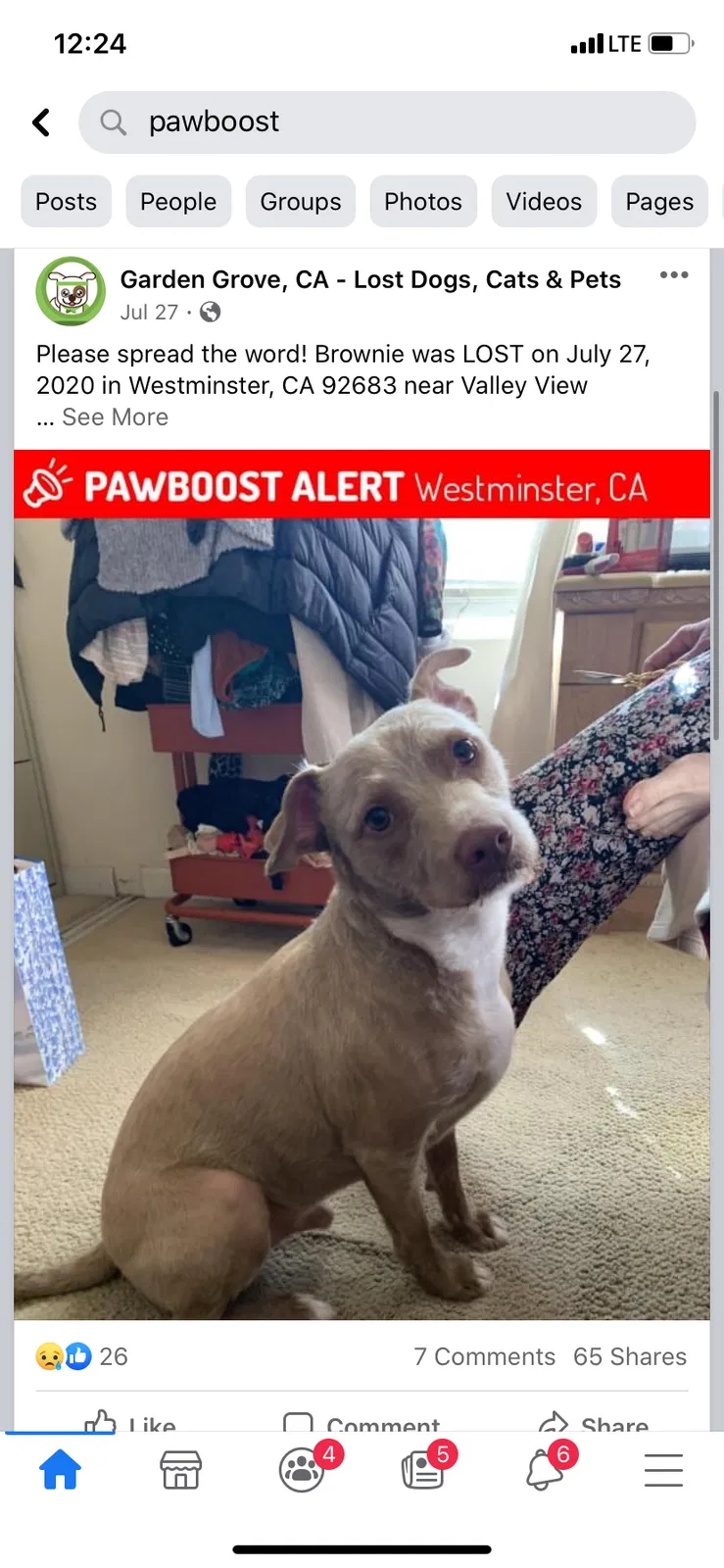 Lost dog in Westminster, CA, 92683