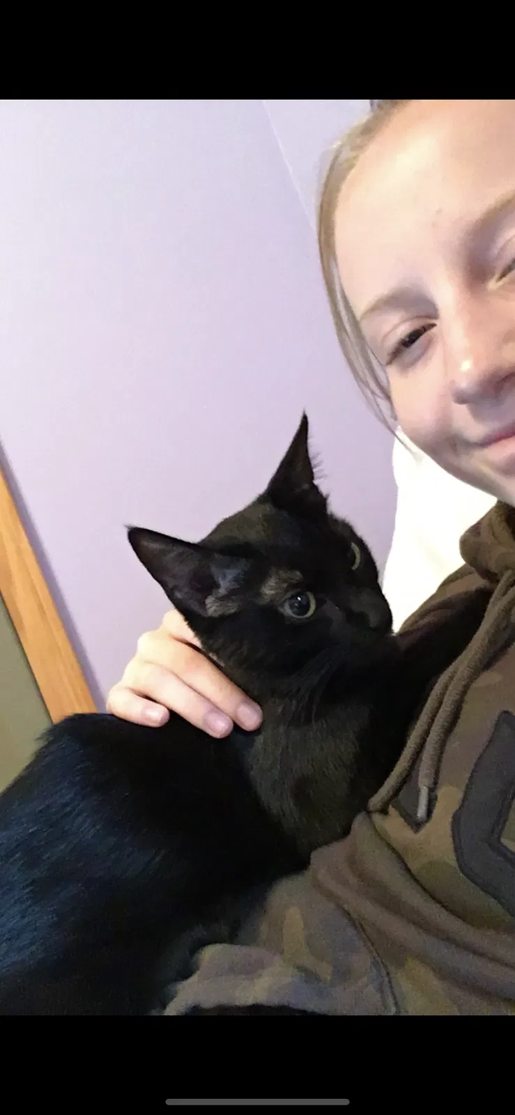 Lost cat in Topeka, KS, 66618