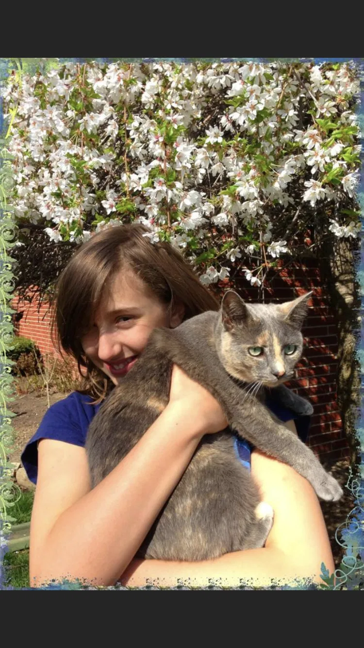 Lost cat in Huntington Woods, MI, 48070