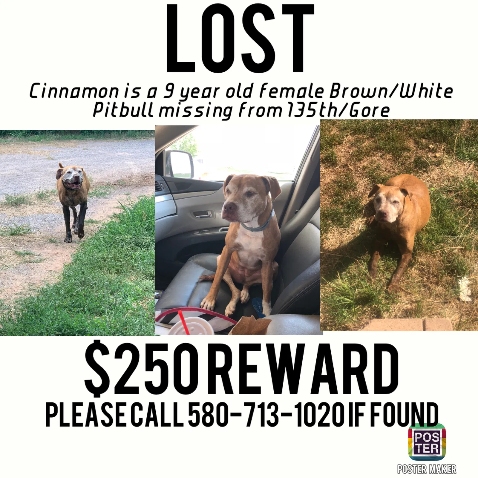 Lost dog in Lawton, OK, 73507