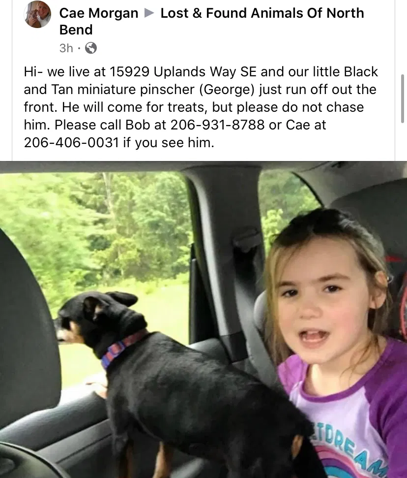 Lost dog in North Bend, WA, 98045