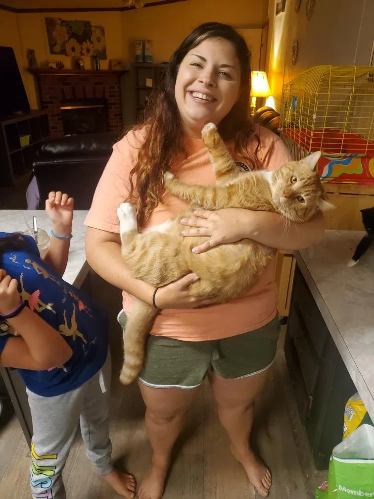 Lost cat in Gastonia, NC, 28056