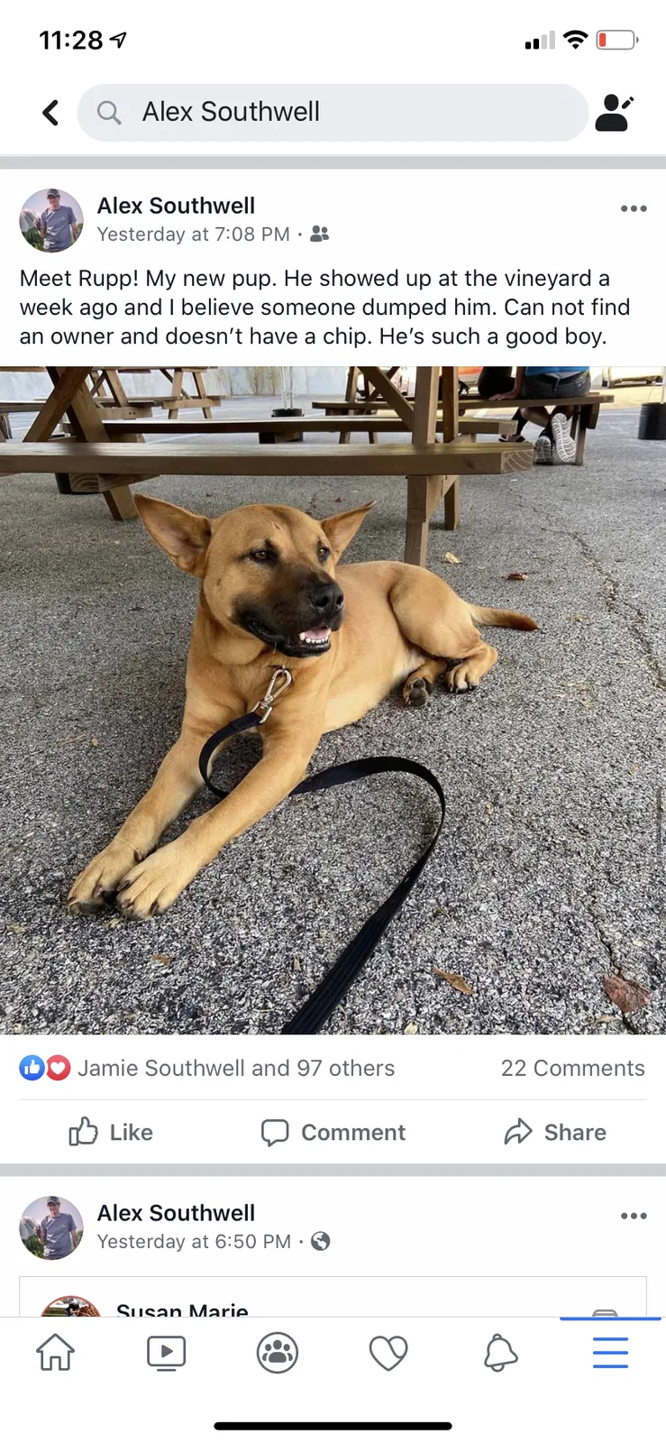 Lost dog in Richmond, KY, 40475