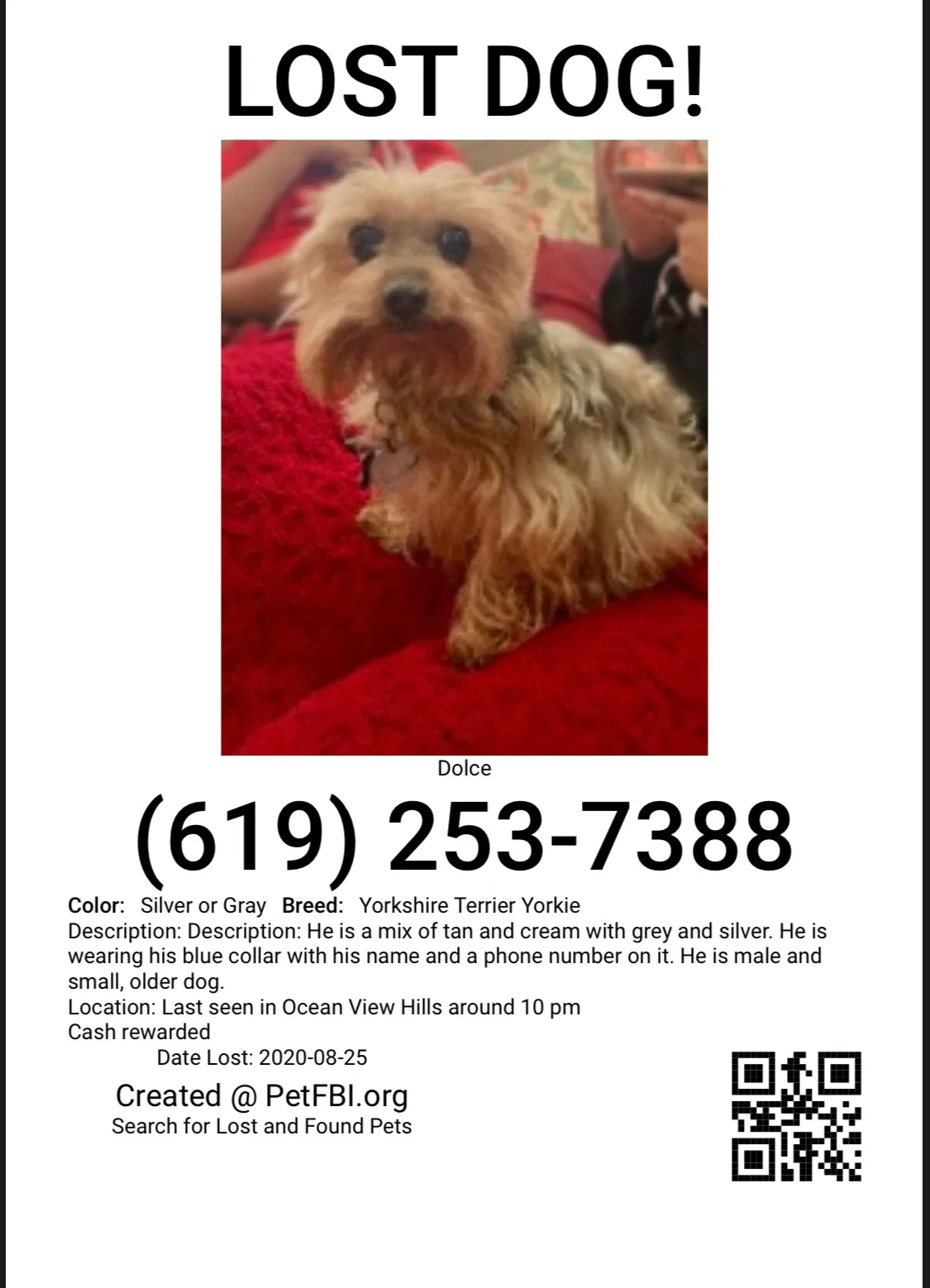 Lost dog in San Diego, CA, 92154