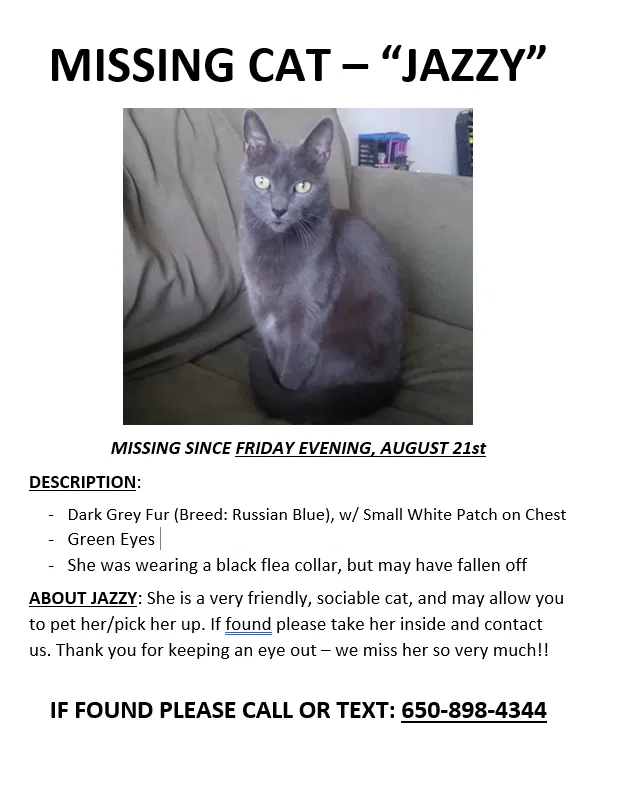 Lost cat in San Mateo, CA, 94403