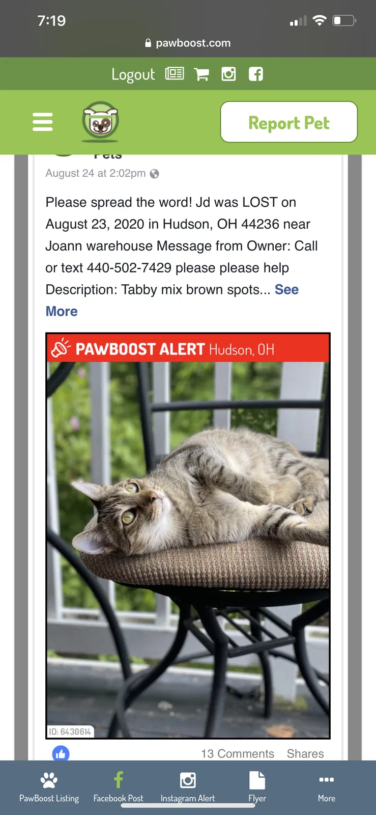 Lost cat in Hudson, OH, 44236