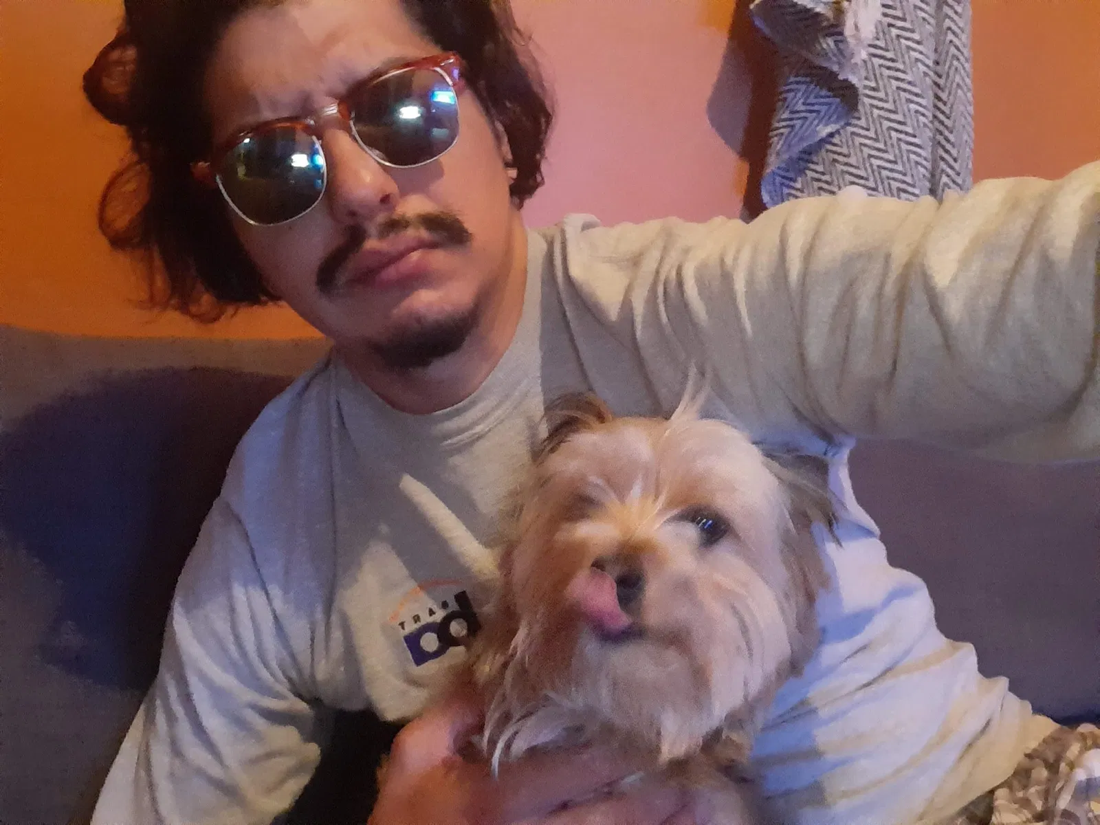 Lost dog in San Francisco, CA, 94109