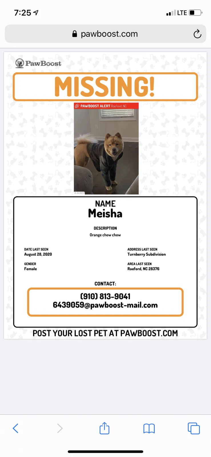 Lost dog in Raeford, NC, 28376