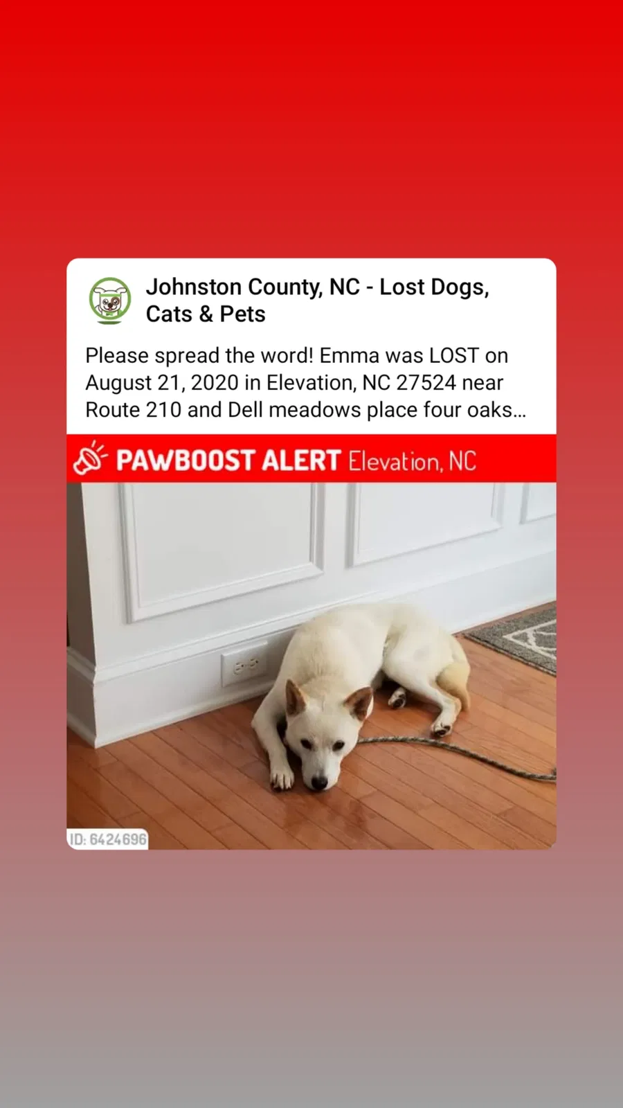 Lost dog in Four Oaks, NC, 27524