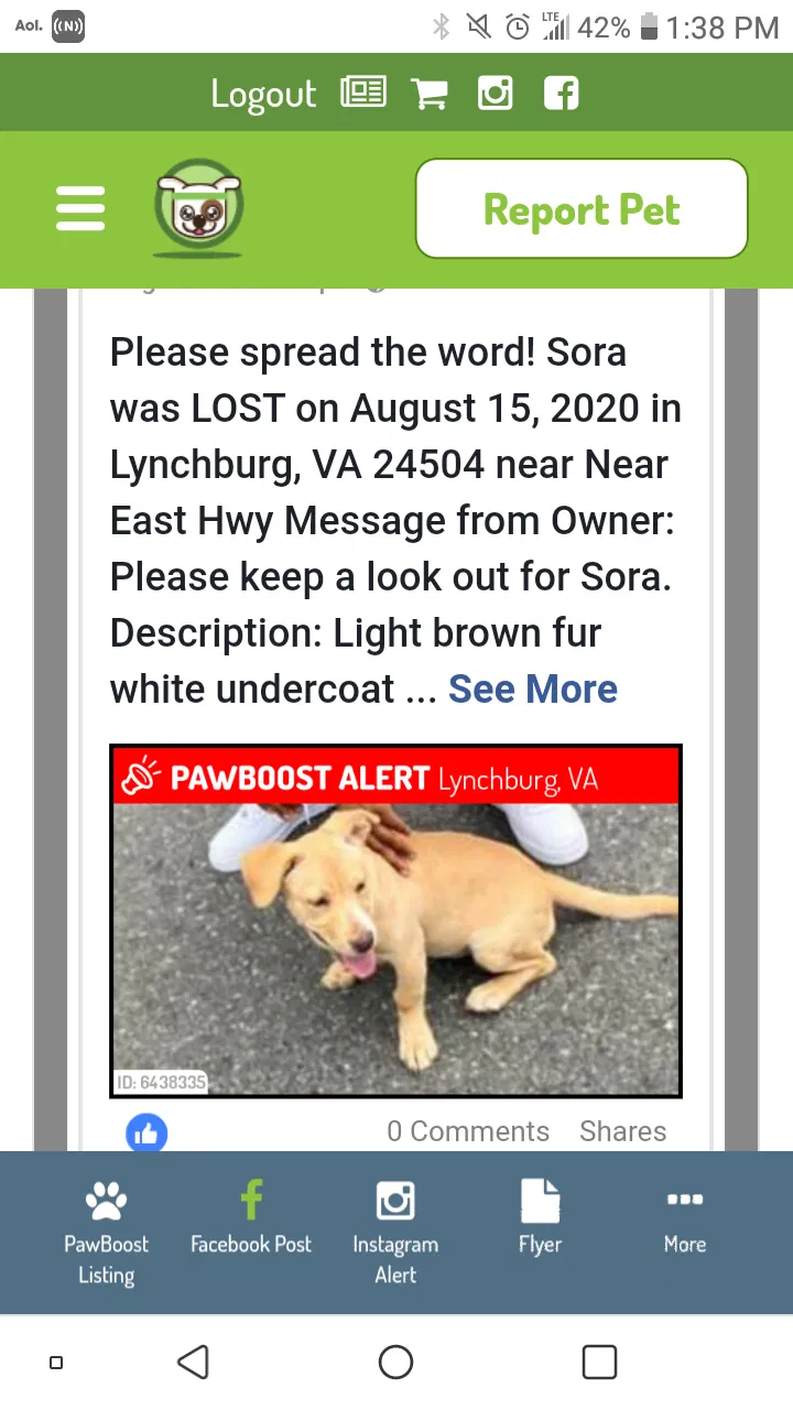 Lost dog in Lynchburg, VA, 24504
