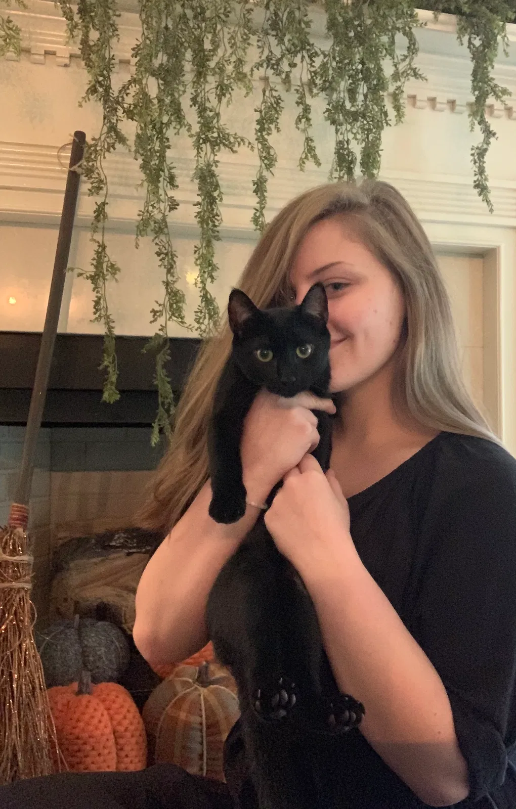 Lost cat in Birmingham, AL, 35244