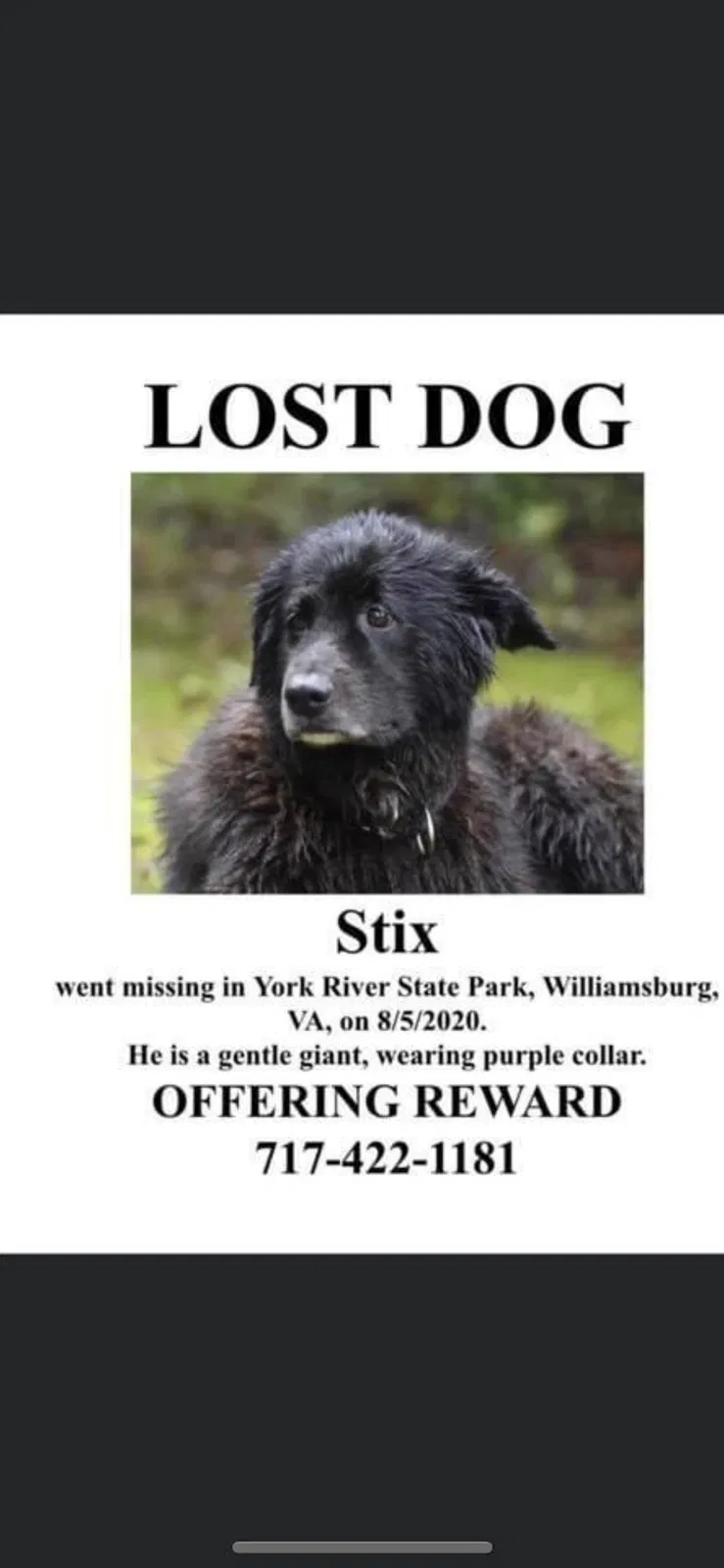 Lost dog in Williamsburg, VA, 23188