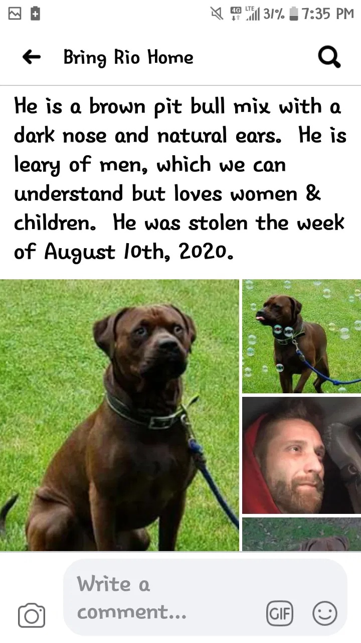 Lost dog in Ronks, PA, 17572
