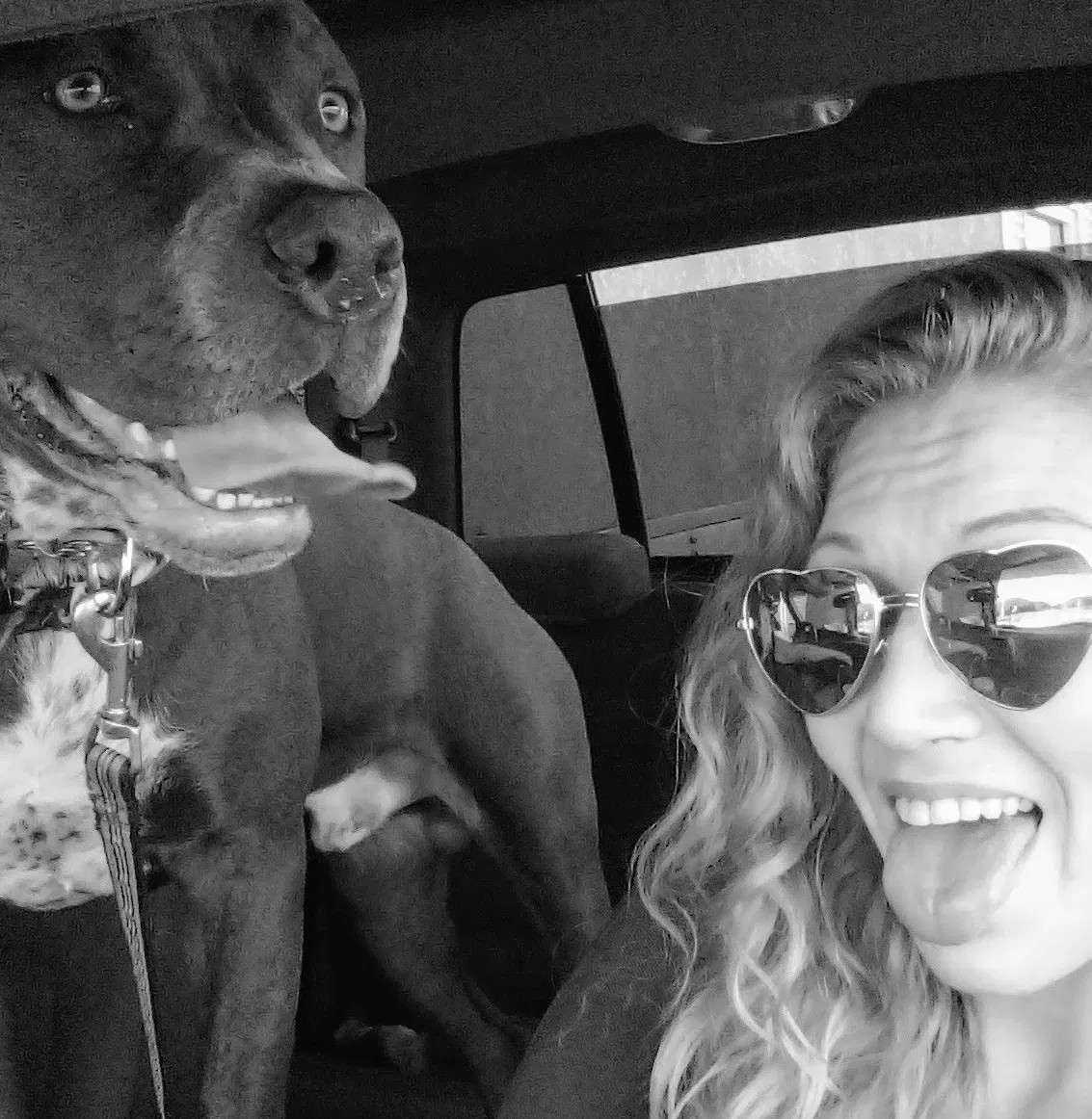 Lost dog in Aripeka, FL, 34679