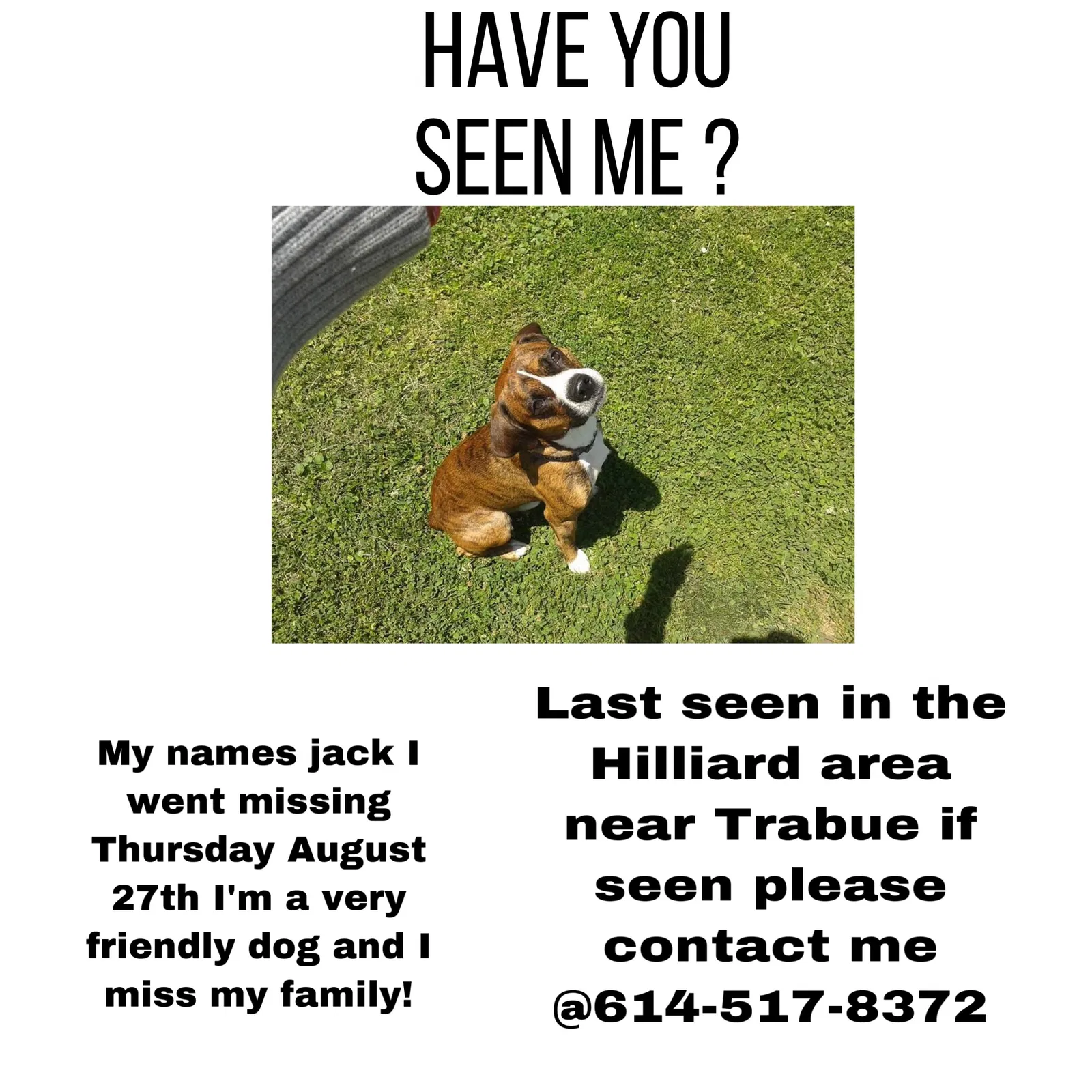 Lost dog in Carroll, OH, 43112