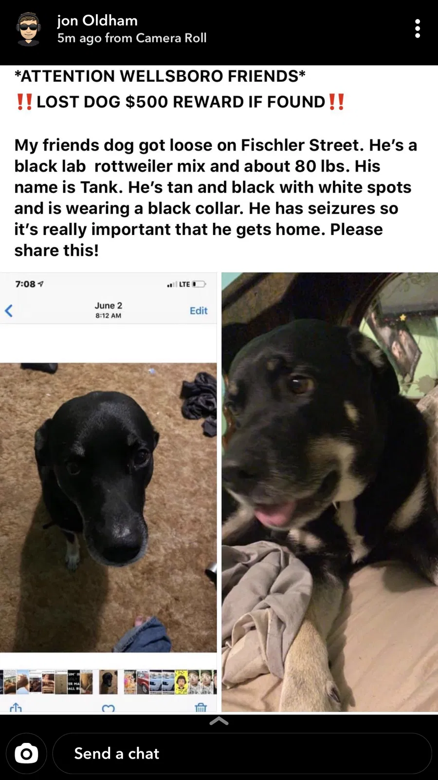 Lost dog in Wellsboro, PA, 16901