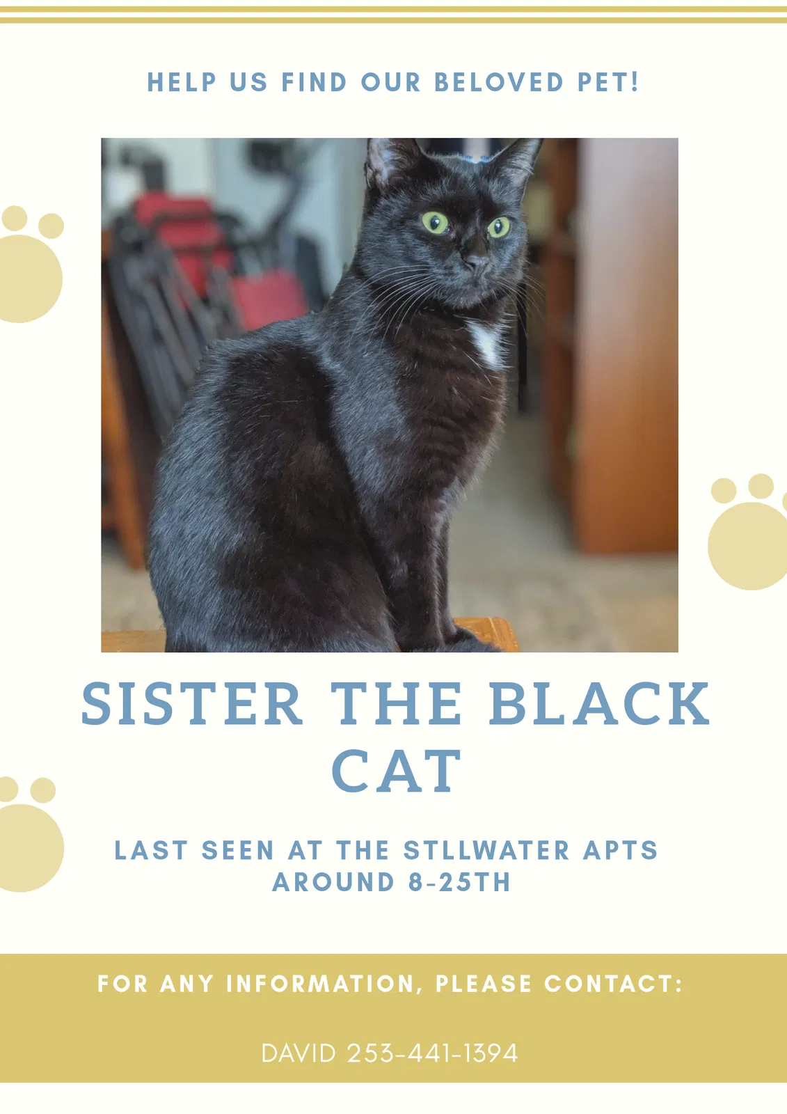 Lost cat in Puyallup, WA, 98372