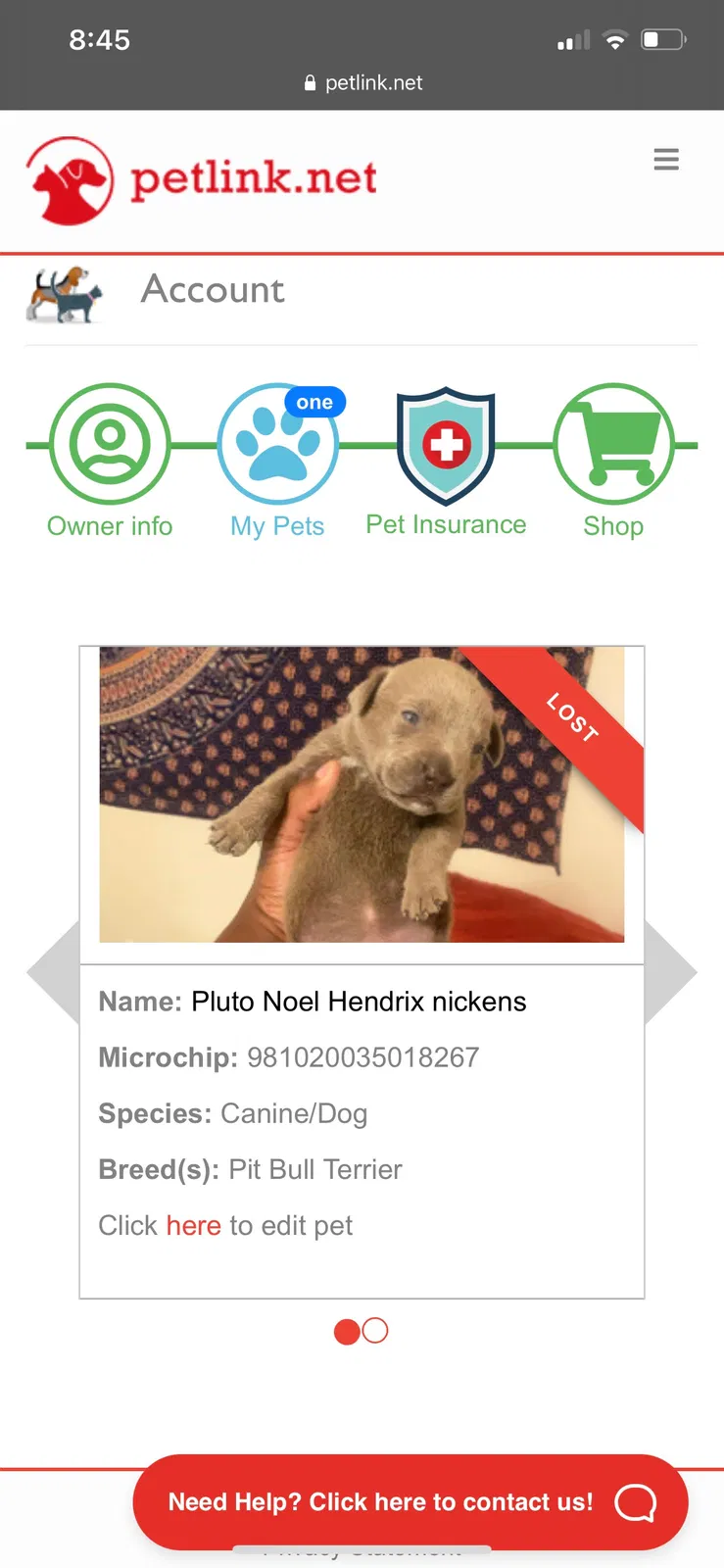 Lost dog in Fayetteville, AR, 72701