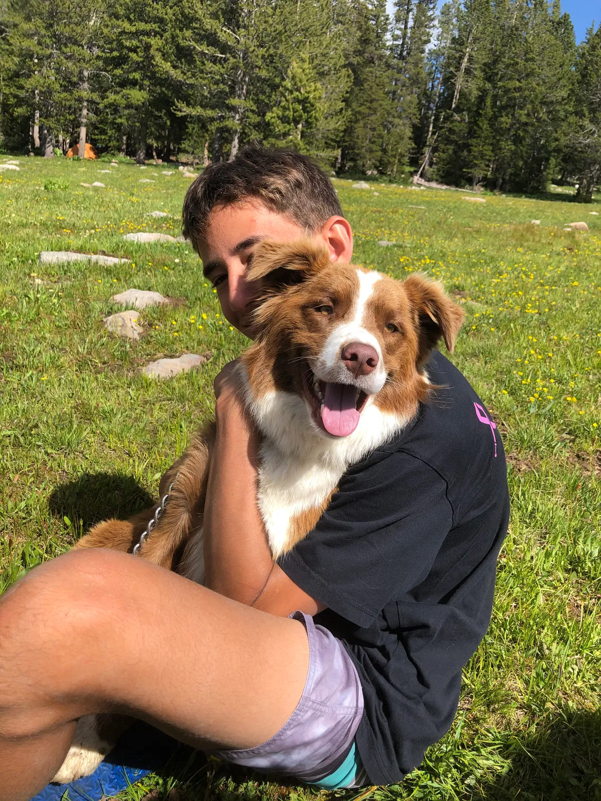 Lost dog in Orem, UT, 84097