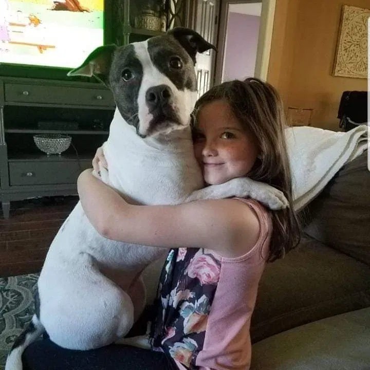 Lost dog in Pensacola, FL, 32506
