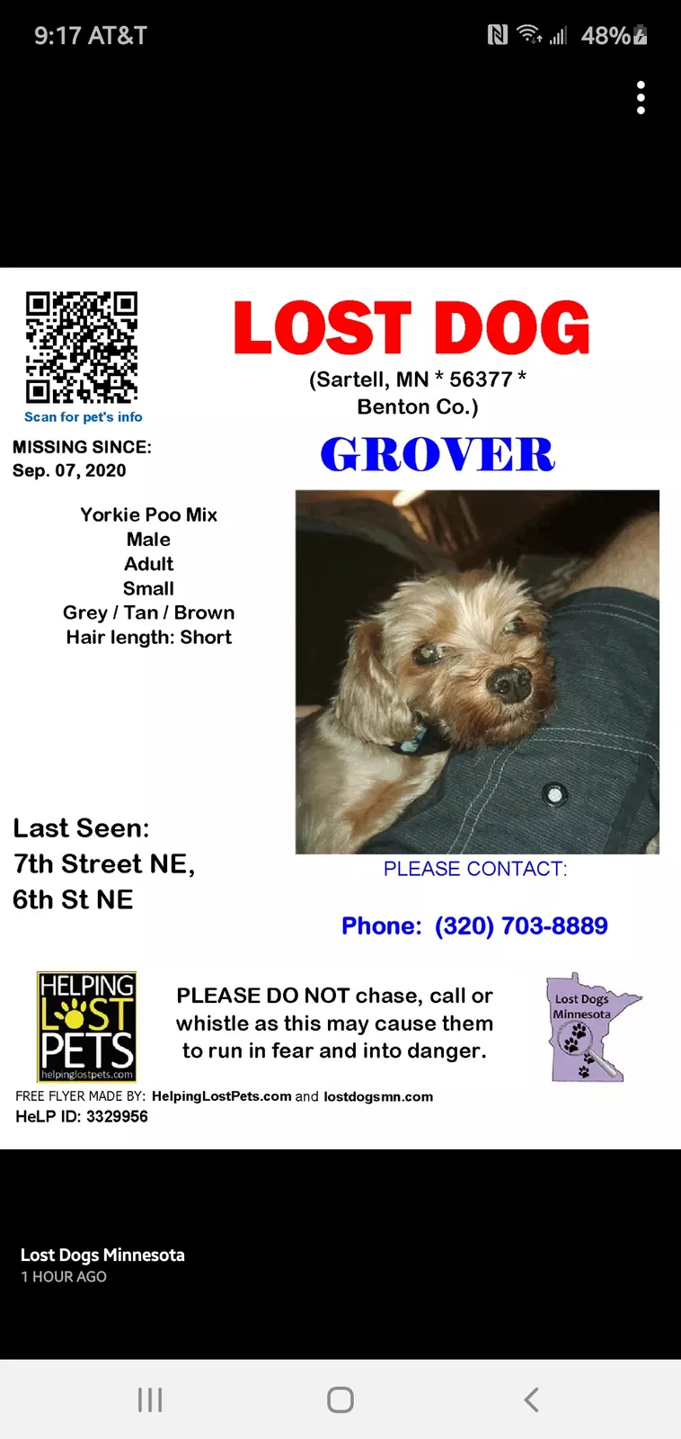 Lost dog in Unknown, MN, 57377