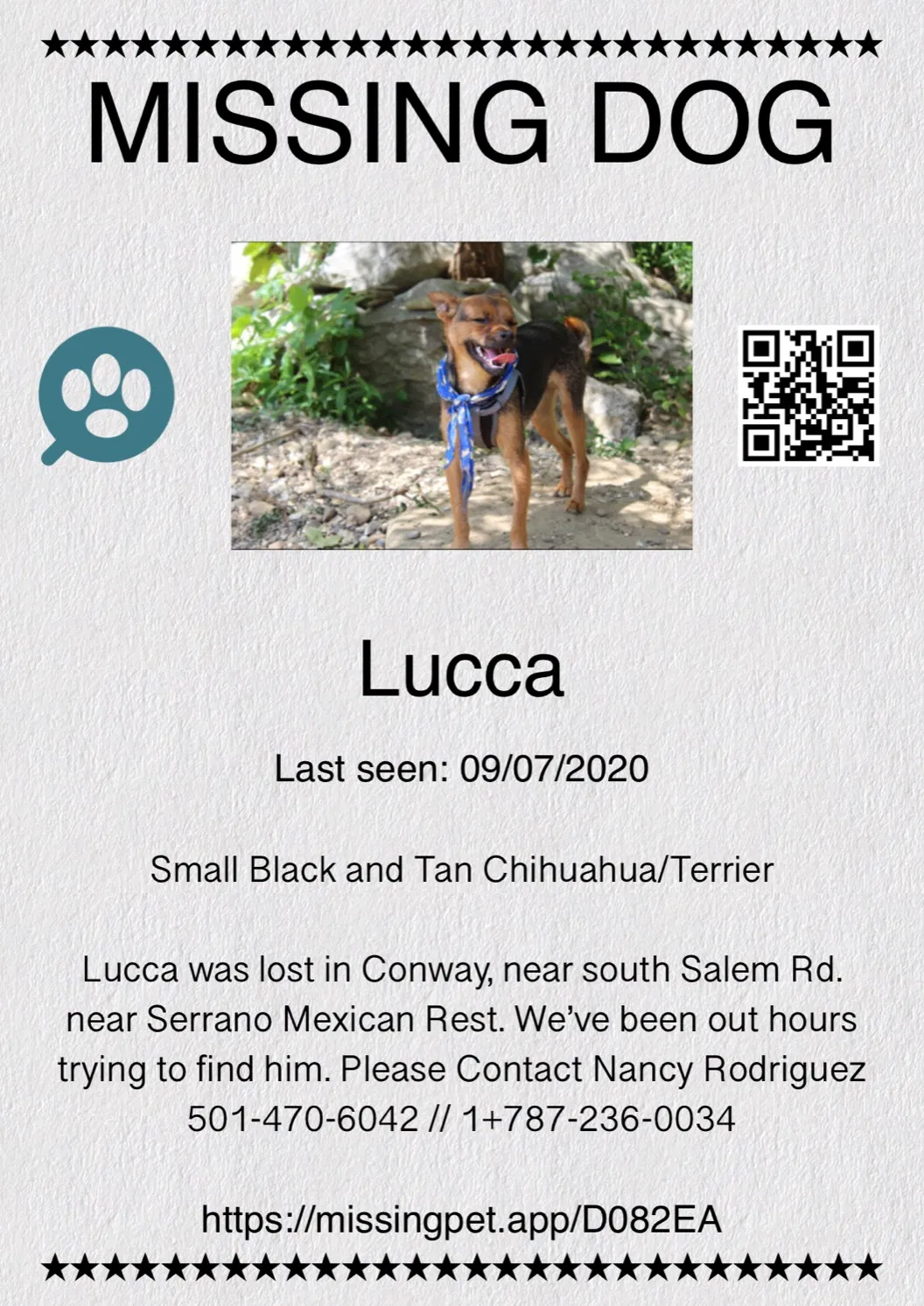 Lost dog in Conway, AR, 72034