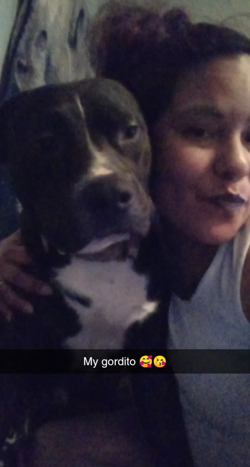 Lost dog in San Antonio, TX, 78230