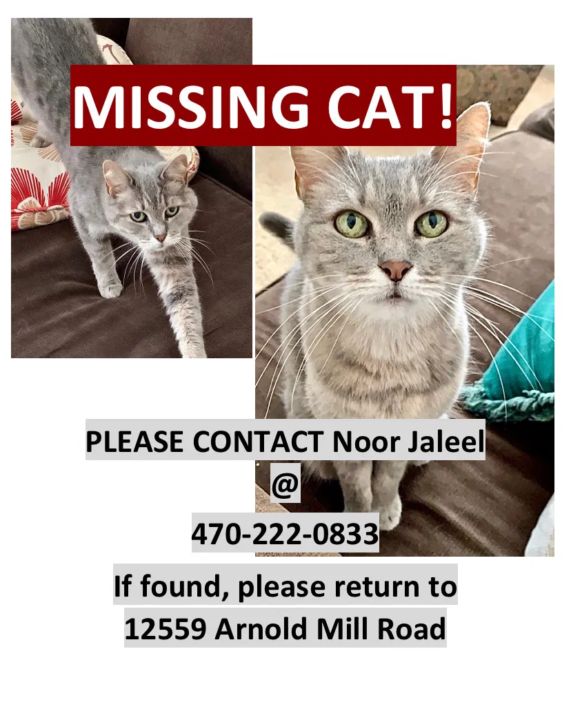 Lost cat in Alpharetta, GA, 30004
